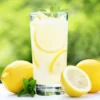 Limonadas 500 ml -CP-